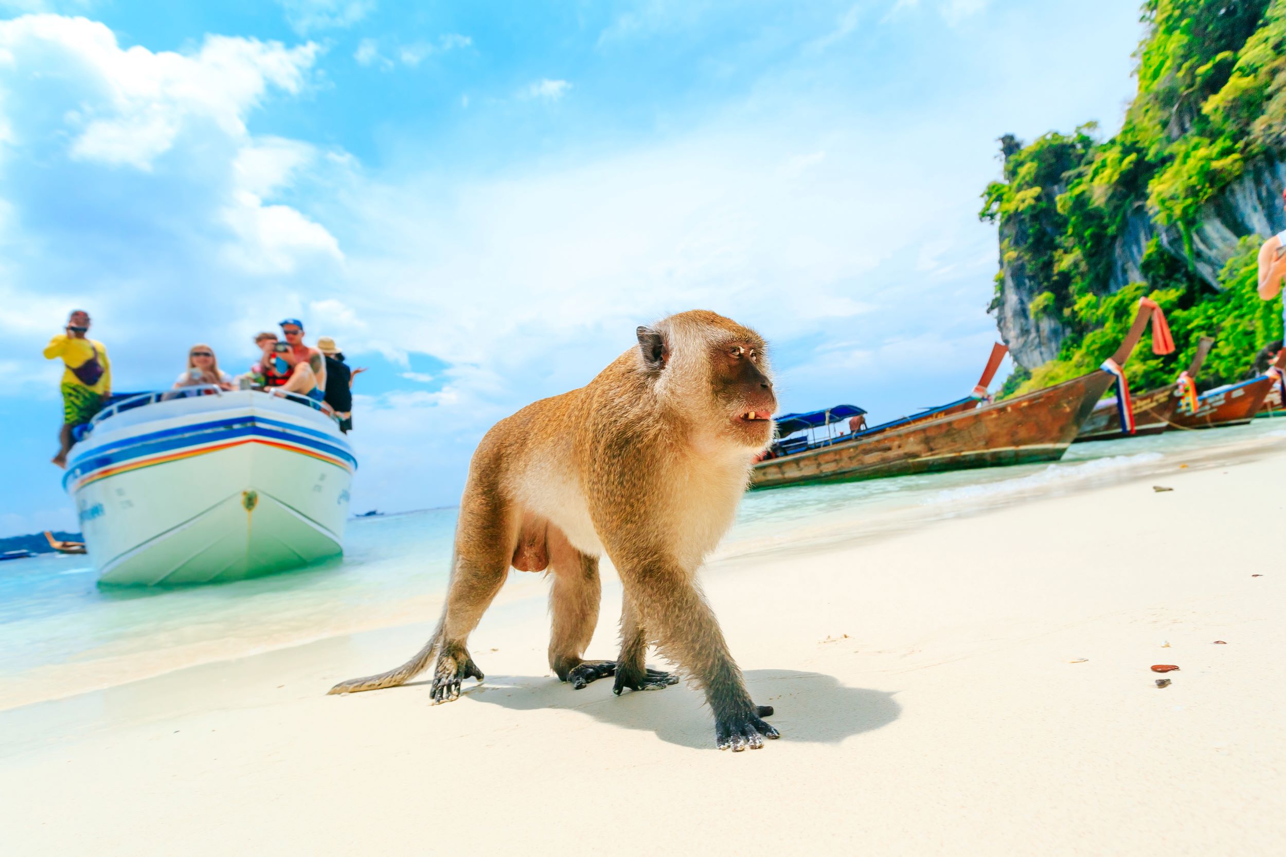 Rajska Tajska - Krabi in Ko Lanta 10 dni